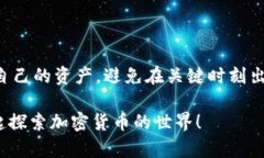   ZIL币在Tokenim钱包释放时间详解：投资者必读
