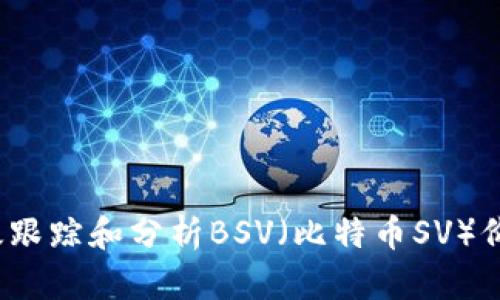 如何有效跟踪和分析BSV（比特币SV）价格波动？