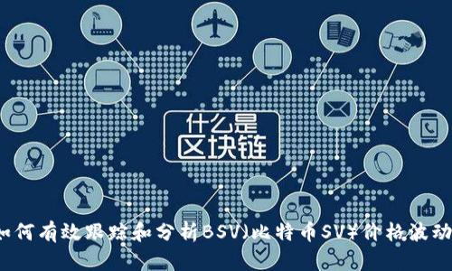 如何有效跟踪和分析BSV（比特币SV）价格波动？