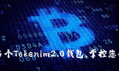 轻松创建多个Tokenim2.0钱包，掌控您的加密资产