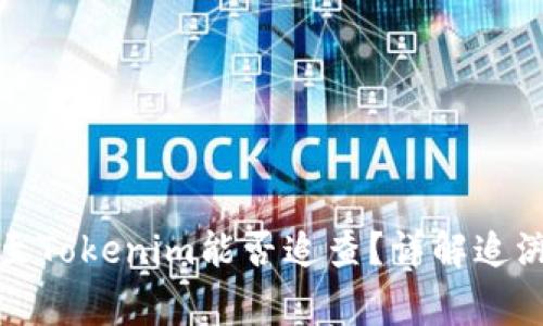 炒币被骗后转账至Tokenim能否追查？详解追溯方法与常见误区