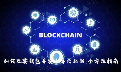 如何观察钱包并安全导出私钥：全方位指南