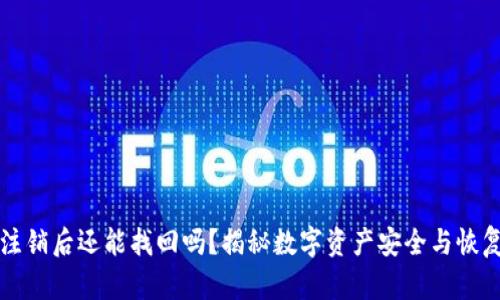 冷钱包注销后还能找回吗？揭秘数字资产安全与恢复的真相