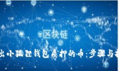 轻松取出小狐狸钱包质押的币：步骤与技巧解析