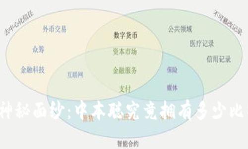 揭开神秘面纱：中本聪究竟拥有多少比特币？