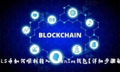 NULS币如何顺利转入TokenIm钱包？详细步骤解析