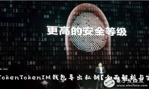 什么是TokenTokenIM钱包导出私钥？全面解析与实用指南