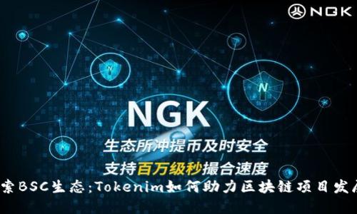 探索BSC生态:Tokenim如何助力区块链项目发展?