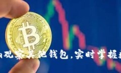 利用Tokenim观察其他钱包，实时掌握数字资产动态