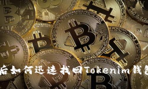 手机丢失后如何迅速找回Tokenim钱包中的资产