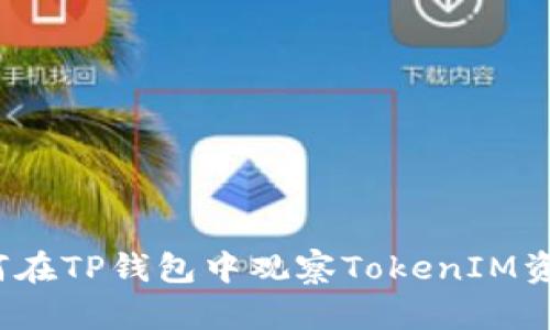 如何在TP钱包中观察TokenIM资产?