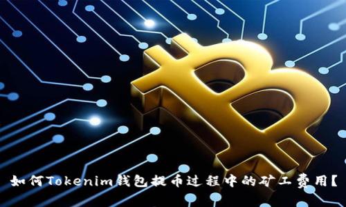 如何Tokenim钱包提币过程中的矿工费用?