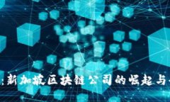 Tokenim：新加坡区块链公司的崛起与全球影响