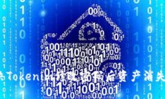 如何解决Tokenim修改密码后资产消失的问题？