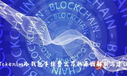 Tokenim冷钱包手续费高昂的原因解析与建议