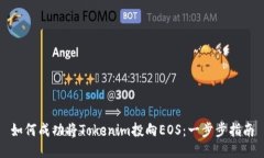 如何成功将Tokenim投向EOS：一步步指南