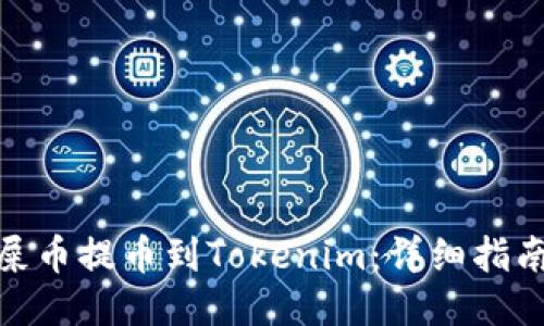 如何将屎币提币到Tokenim：详细指南与步骤