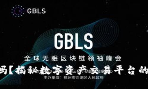 Tokenim安全吗？揭秘数字资产交易平台的安全性与风险