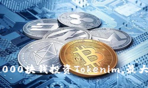 如何用1000块钱投资Tokenim,最大化回报?