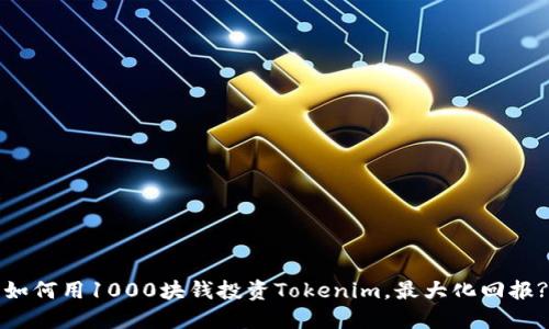 如何用1000块钱投资Tokenim,最大化回报?
