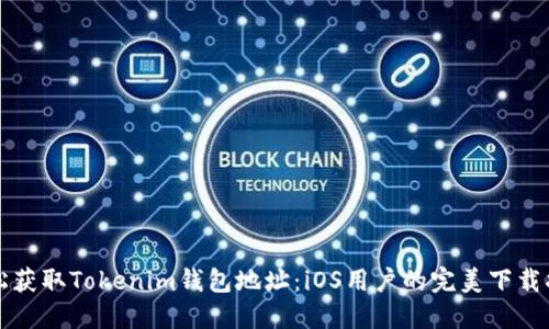 轻松获取Tokenim钱包地址:iOS用户的完美下载指南