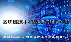 揭秘Tokenim：哪些正规币可以成功转入？