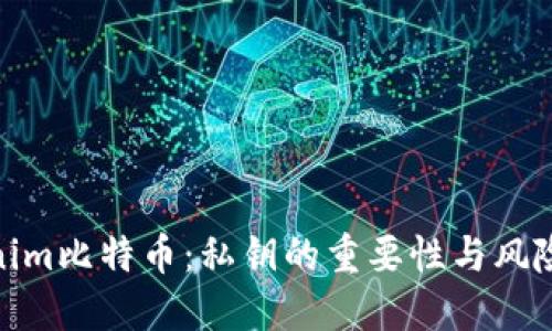 Tokenim比特币:私钥的重要性与风险探讨