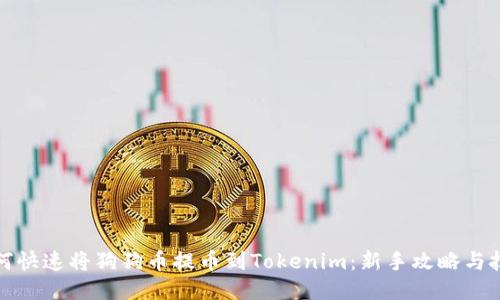 如何快速将狗狗币提币到Tokenim：新手攻略与技巧