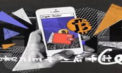 如何解决Tokenim导入后币种消失的问题？