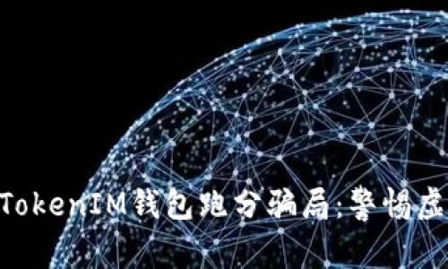 揭秘TokenTokenIM钱包跑分骗局：警惕虚假投资陷阱