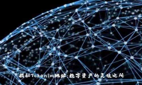 揭秘Tokenim地址：数字资产的灵魂之所
