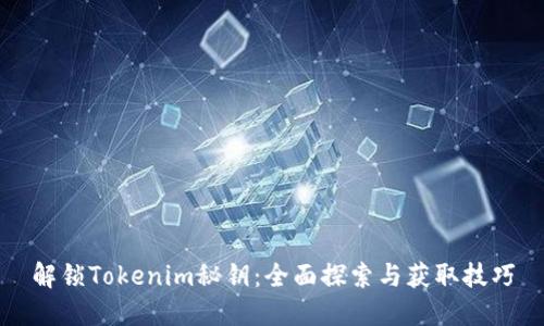 解锁Tokenim秘钥:全面探索与获取技巧