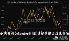 如何查询tokenim私钥？详解步骤与注意事项