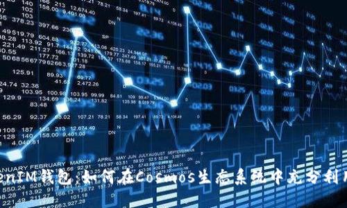 探索TokenTokenIM钱包:如何在Cosmos生态系统中充分利用您的数字资产