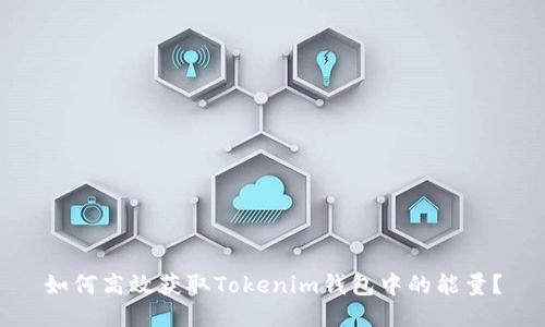 如何高效获取Tokenim钱包中的能量?