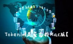 Tokenim是否支持Mac版？