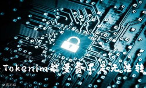 如何解决Tokenim能量费不足无法转账的问题