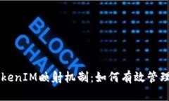 深入解析TokenIM映射机制：如何有效管理和迁移代