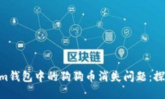 解决Tokentokenim钱包中的狗狗币消失问题：探索原