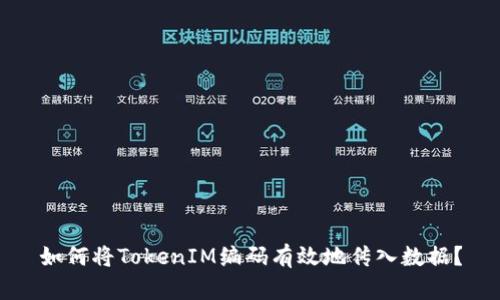 如何将TokenIM编码有效地传入数据?
