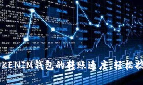 如何高效加速TOKENIM钱包的转账速度，轻松搞定数字资产交易