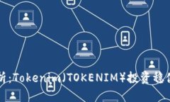 深入解析：Tokenim（TOKENIM）投资稳健性分析