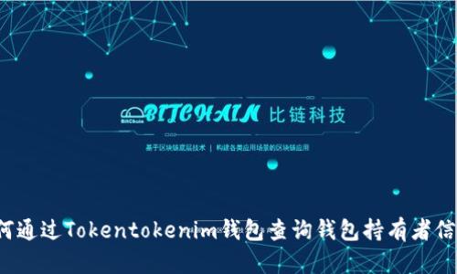 如何通过Tokentokenim钱包查询钱包持有者信息?