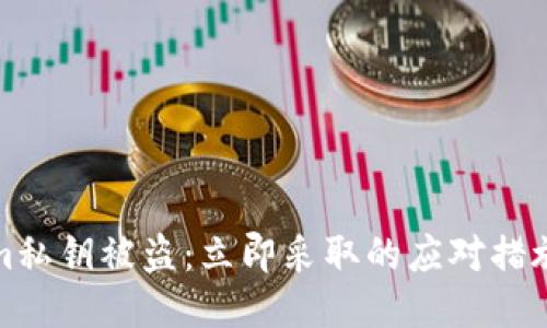 应对tokenim私钥被盗:立即采取的应对措施与防护策略
