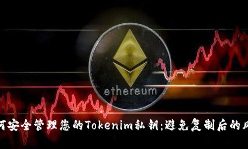 如何安全管理您的Tokenim私钥:避免复制后的风险