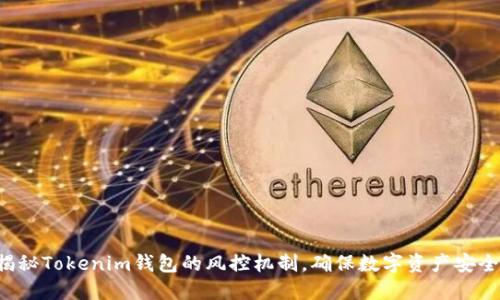 揭秘Tokenim钱包的风控机制,确保数字资产安全!