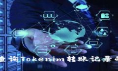 快捷轻松查询Tokenim转账记录的终极指南