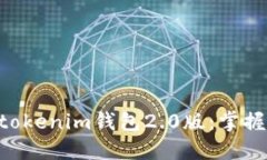 迅速下载Tokentokenim钱包2.0版：掌握数字资产的未