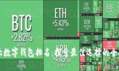 十大数字钱包排名：探索最佳选择的全指南