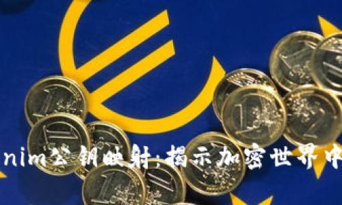 深度解析Tokenim公钥映射：揭示加密世界中的安全与隐私